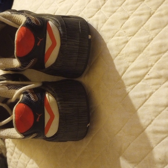 Pumas - Picture 2 of 3